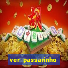 ver passarinho morto significado espiritual